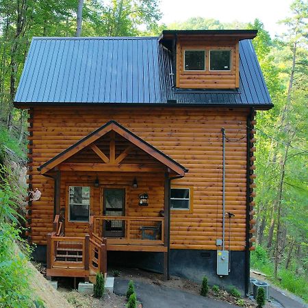 סביירוויל Hawks Nest Mountain Cabin מראה חיצוני תמונה
